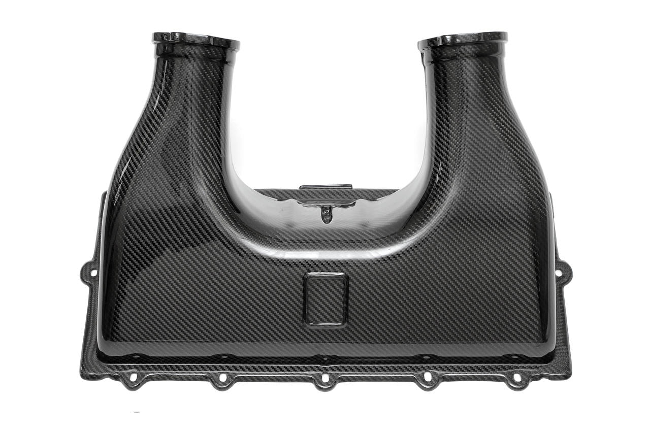 Fabspeed Motorsport Fabspeed Ferrari 458 Italia Carbon Fiber Airbox Cover (2010-2015)